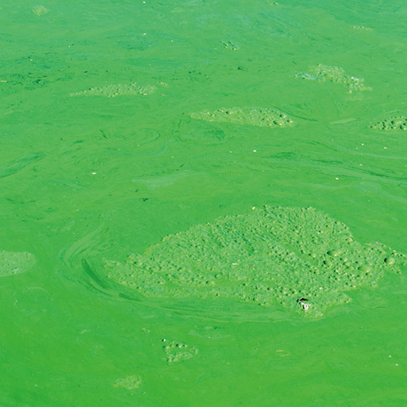 water-pollution.jpg