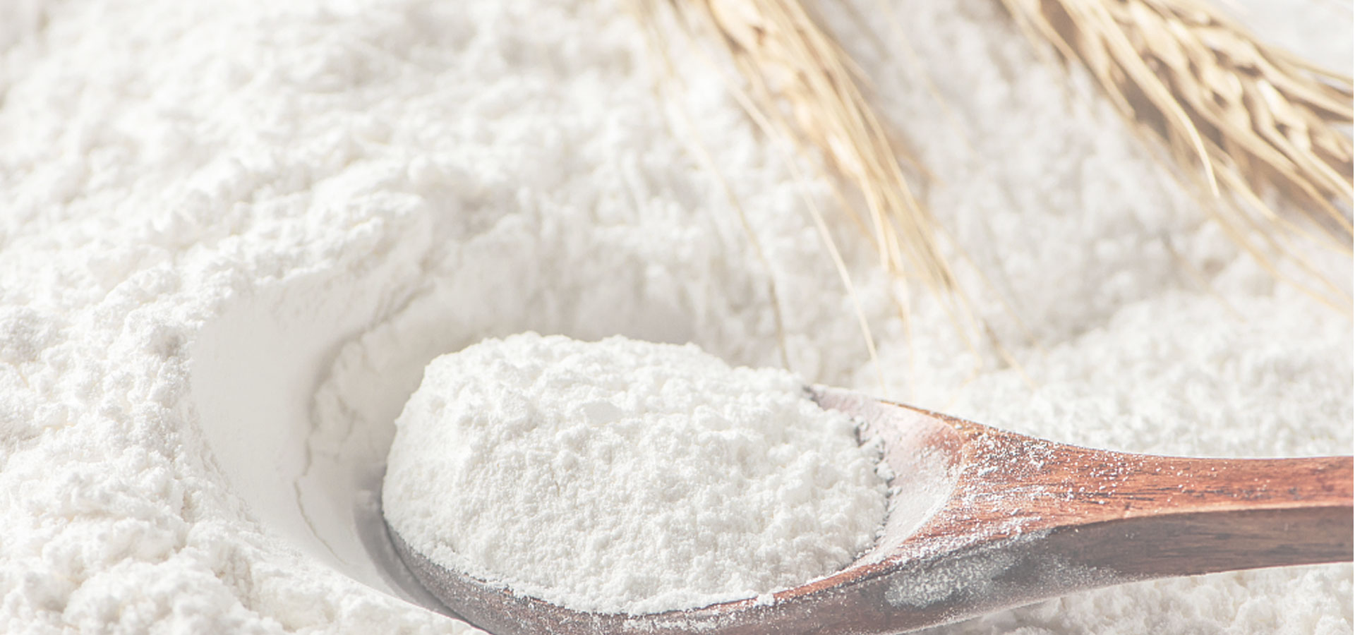 modificaci&oacute;n del almid&oacute;n