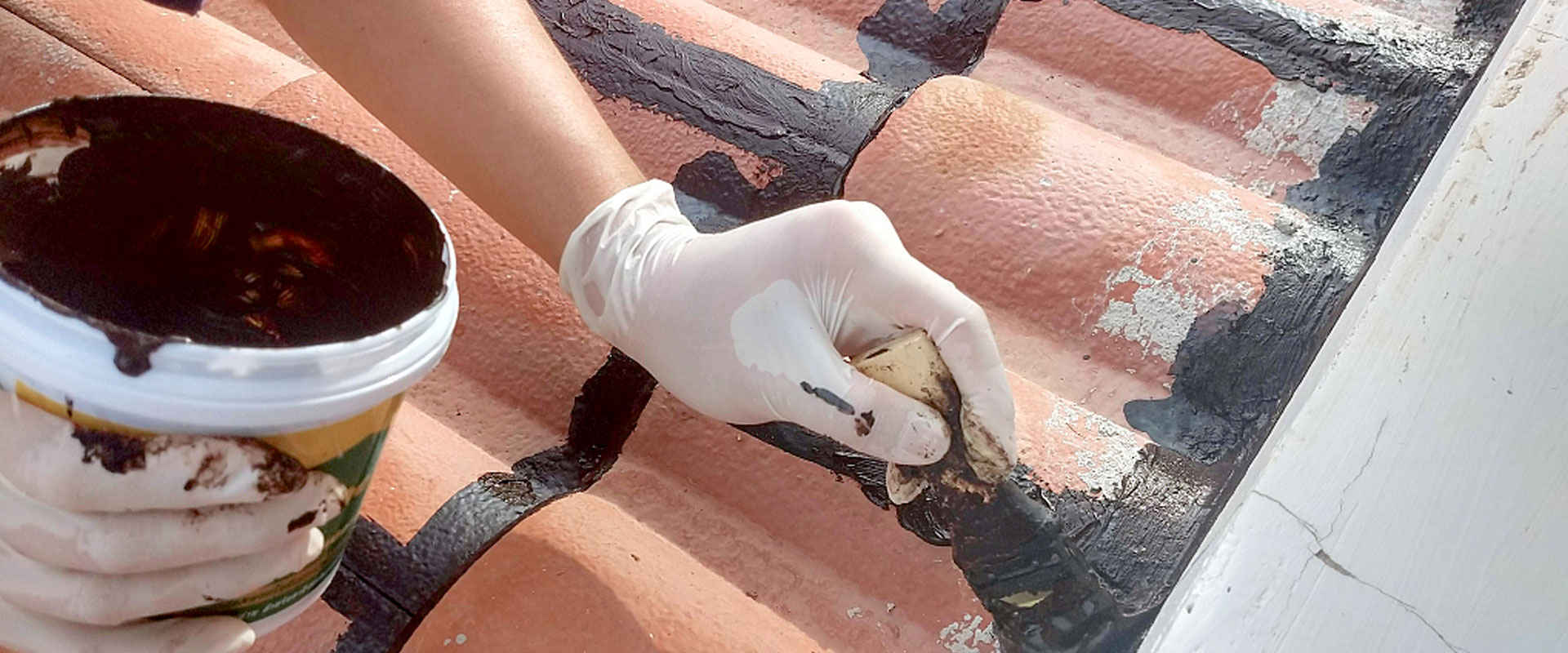 Recubrimiento con polyassp&aacute;rtico